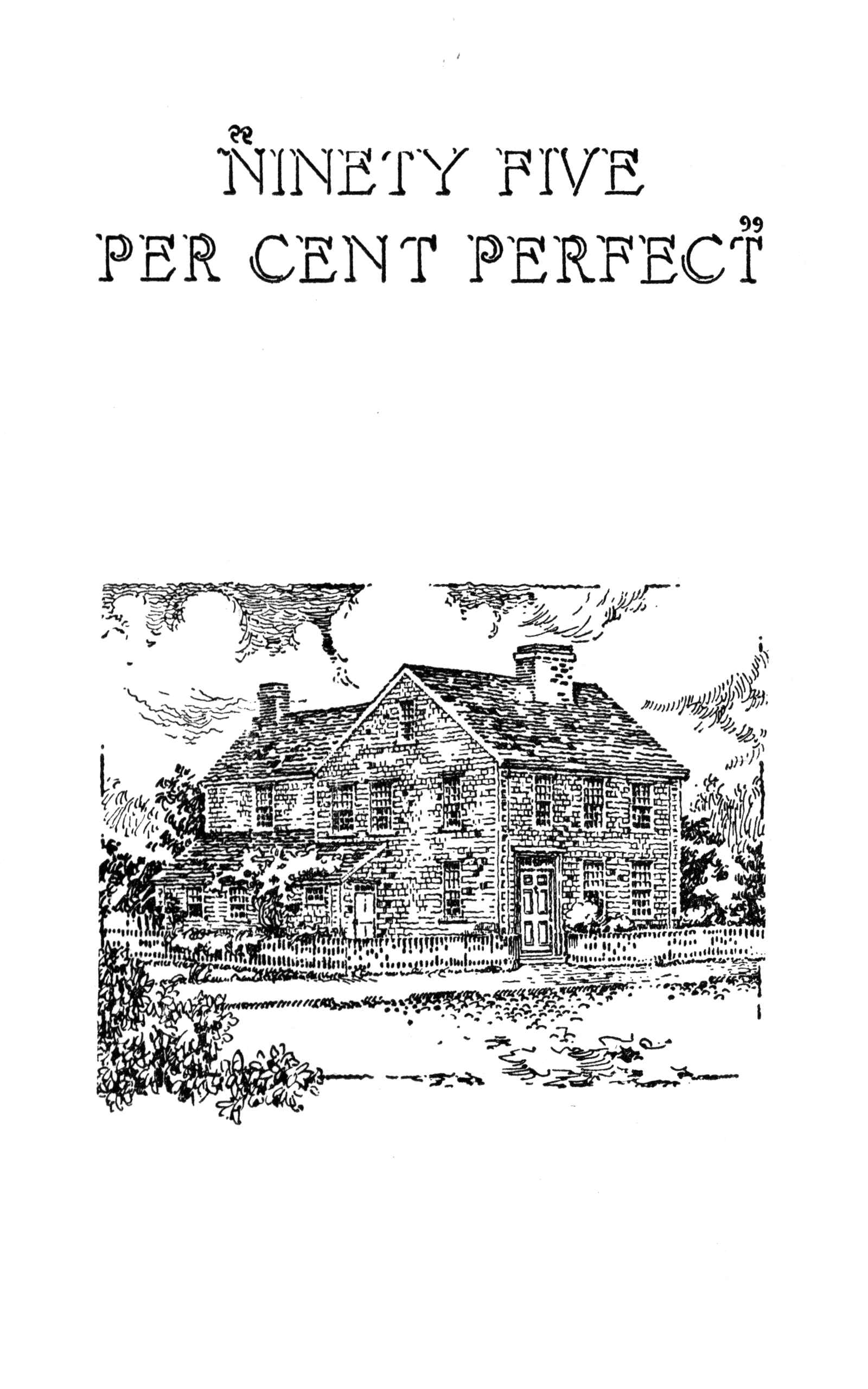 جلد کتاب "95% perfect"