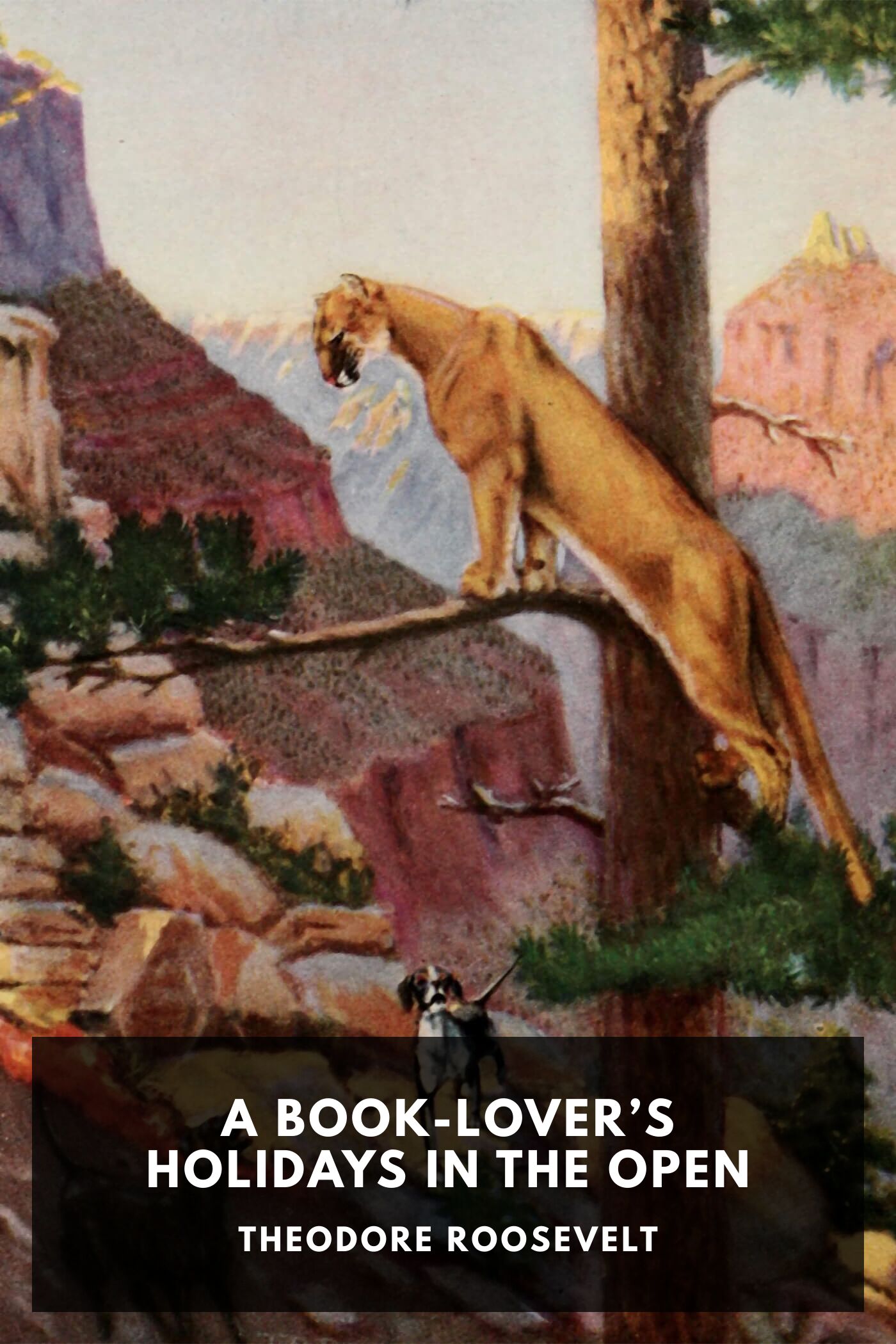 جلد کتاب A Book-Lover's Holidays in the Open