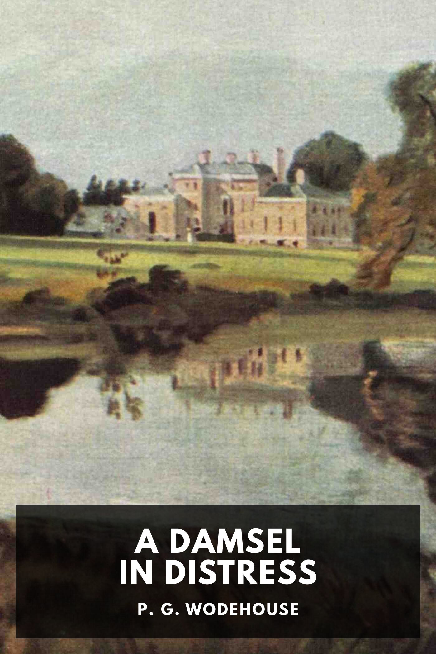 جلد کتاب A Damsel in Distress