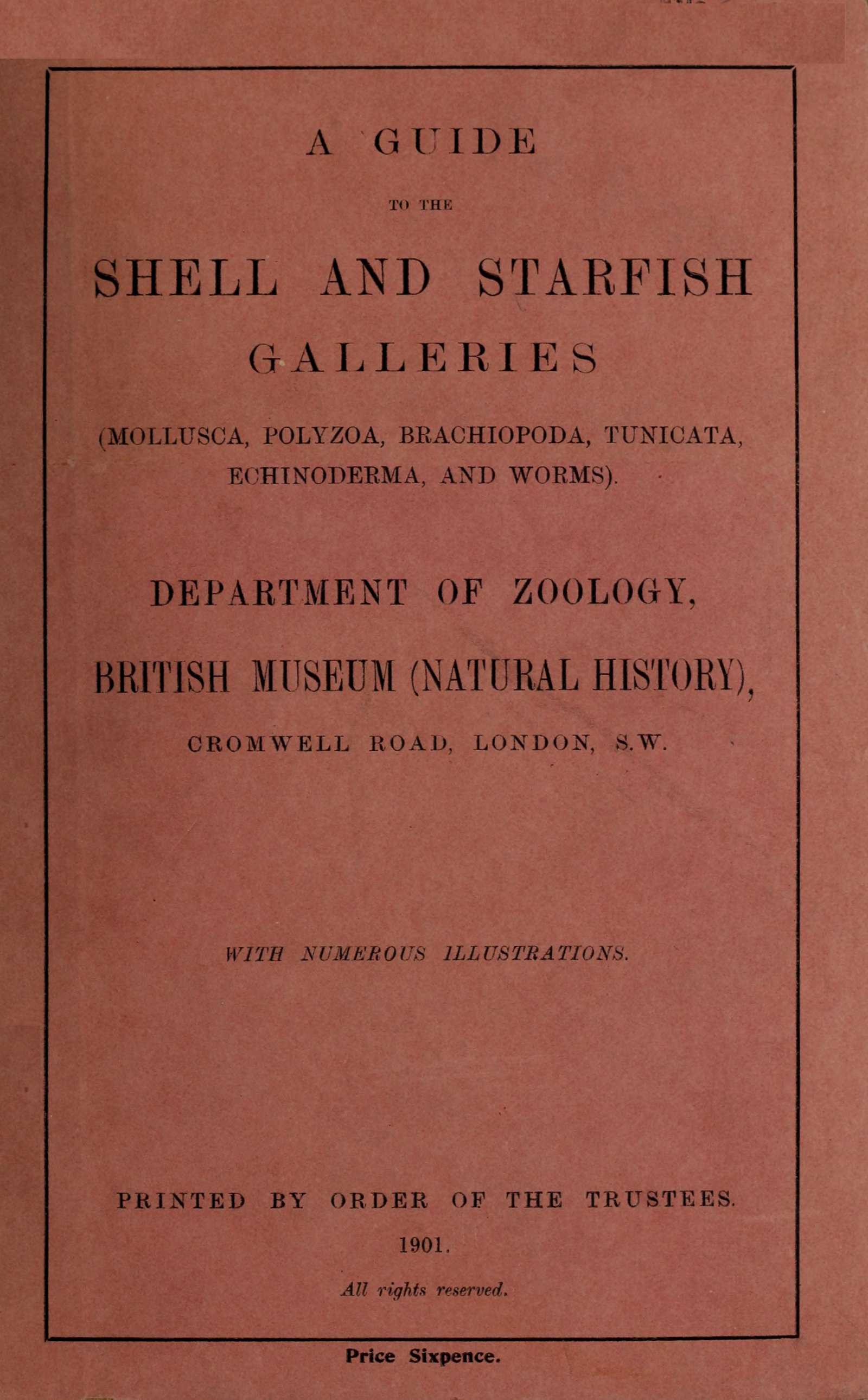 جلد کتاب A Guide to the Shell and Starfish Galleries