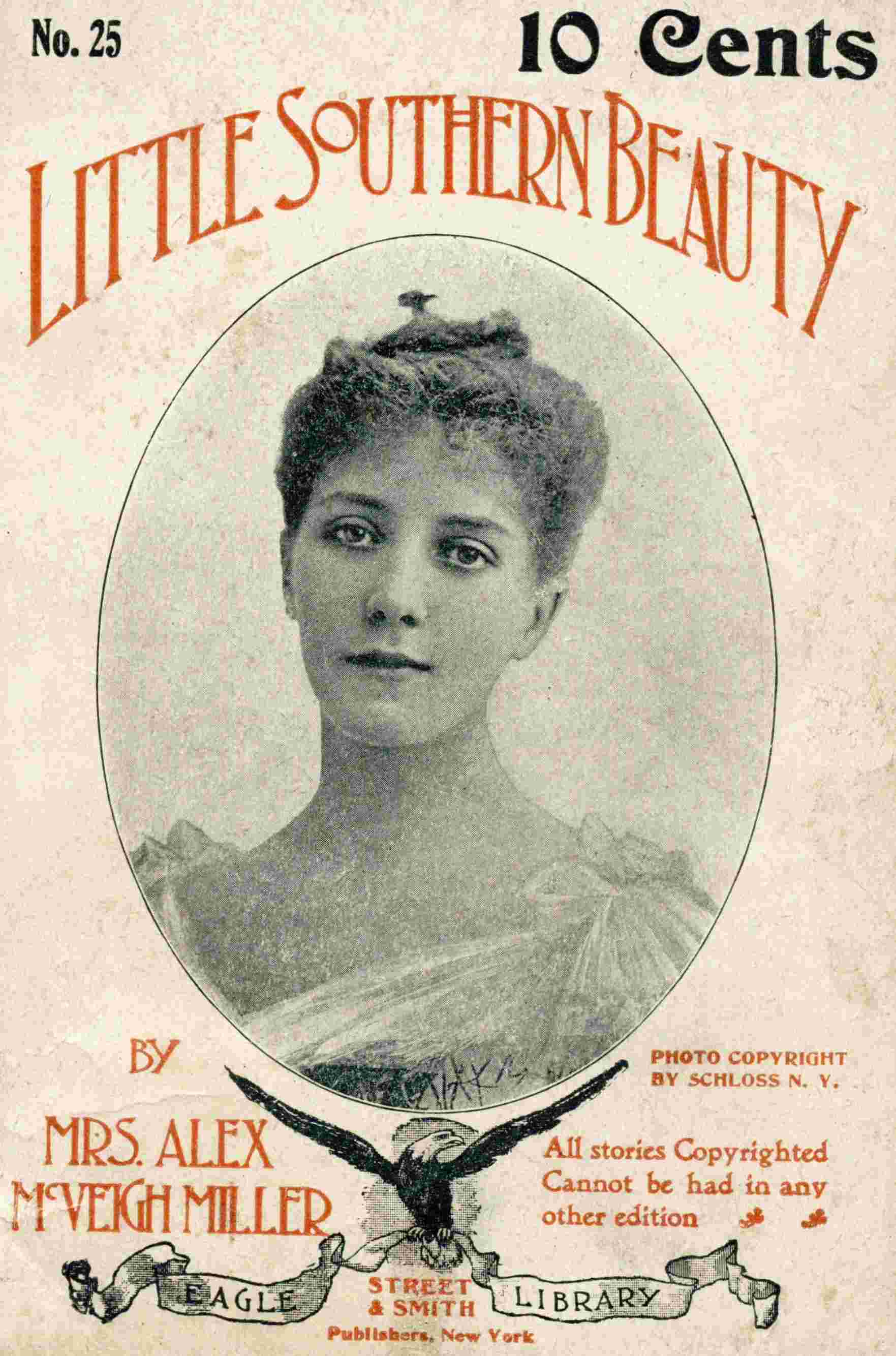 جلد کتاب A Little Southern Beauty; or, Tortured Hearts