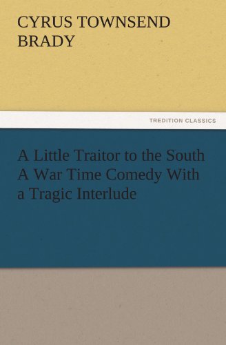 جلد کتاب A Little Traitor to the South