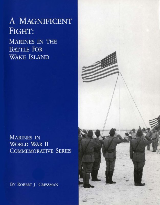 جلد کتاب A Magnificent Fight
