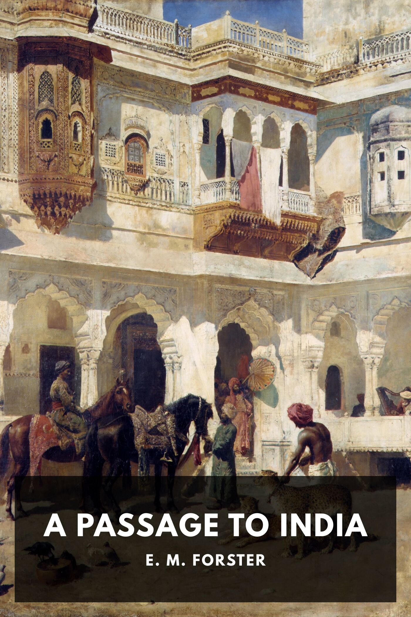 جلد کتاب A Passage to India