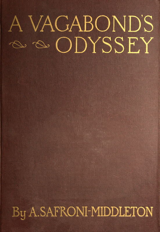 جلد کتاب A Vagabond's Odyssey