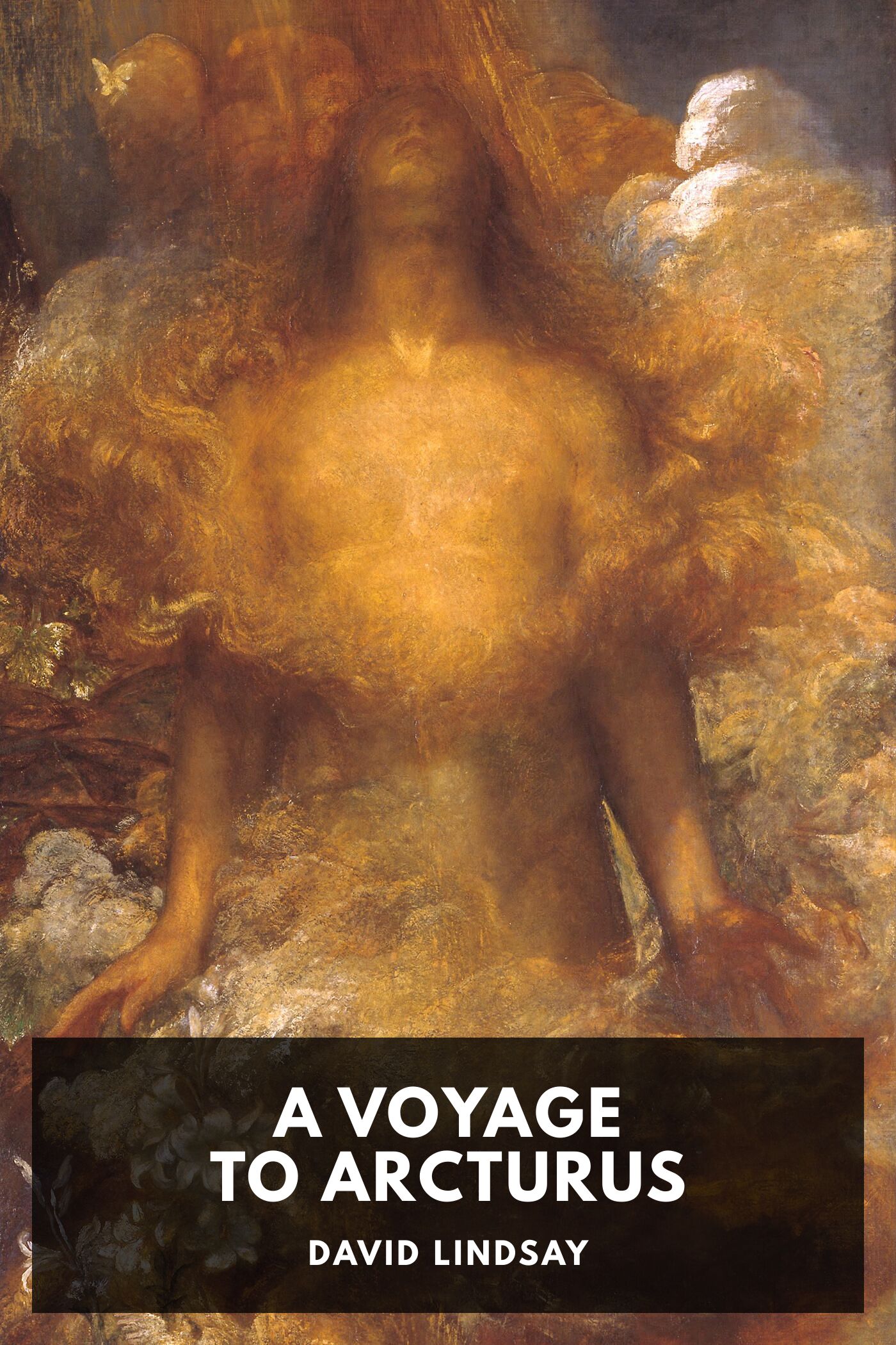 جلد کتاب A Voyage to Arcturus