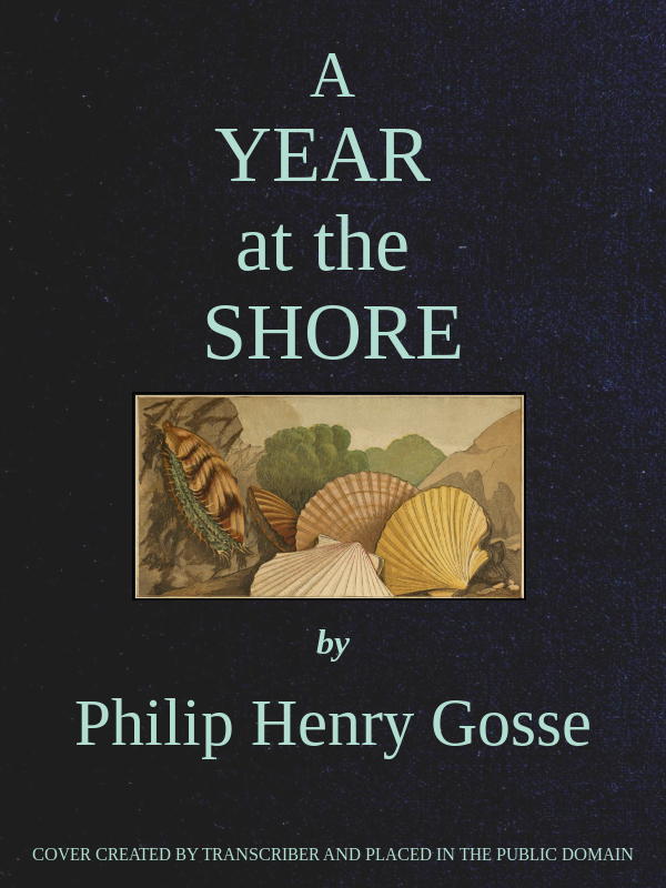 جلد کتاب A year at the shore