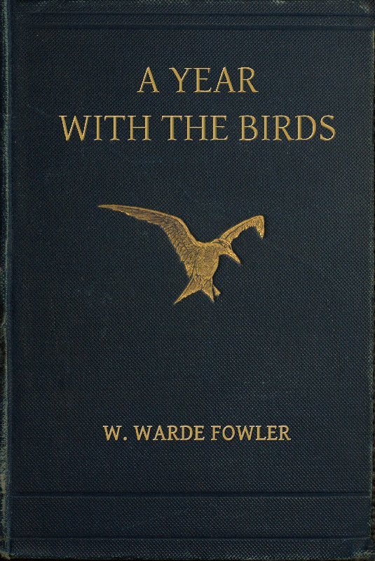 جلد کتاب A Year with the Birds