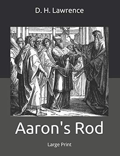 جلد کتاب Aaron's Rod