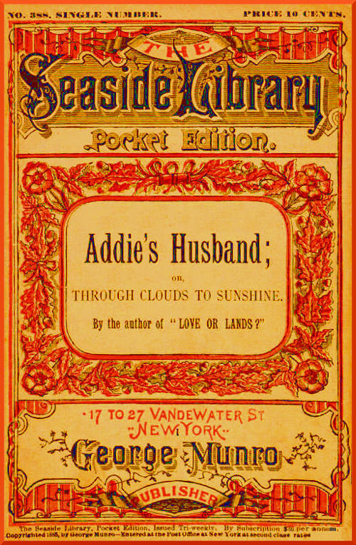 جلد کتاب Addie's Husband