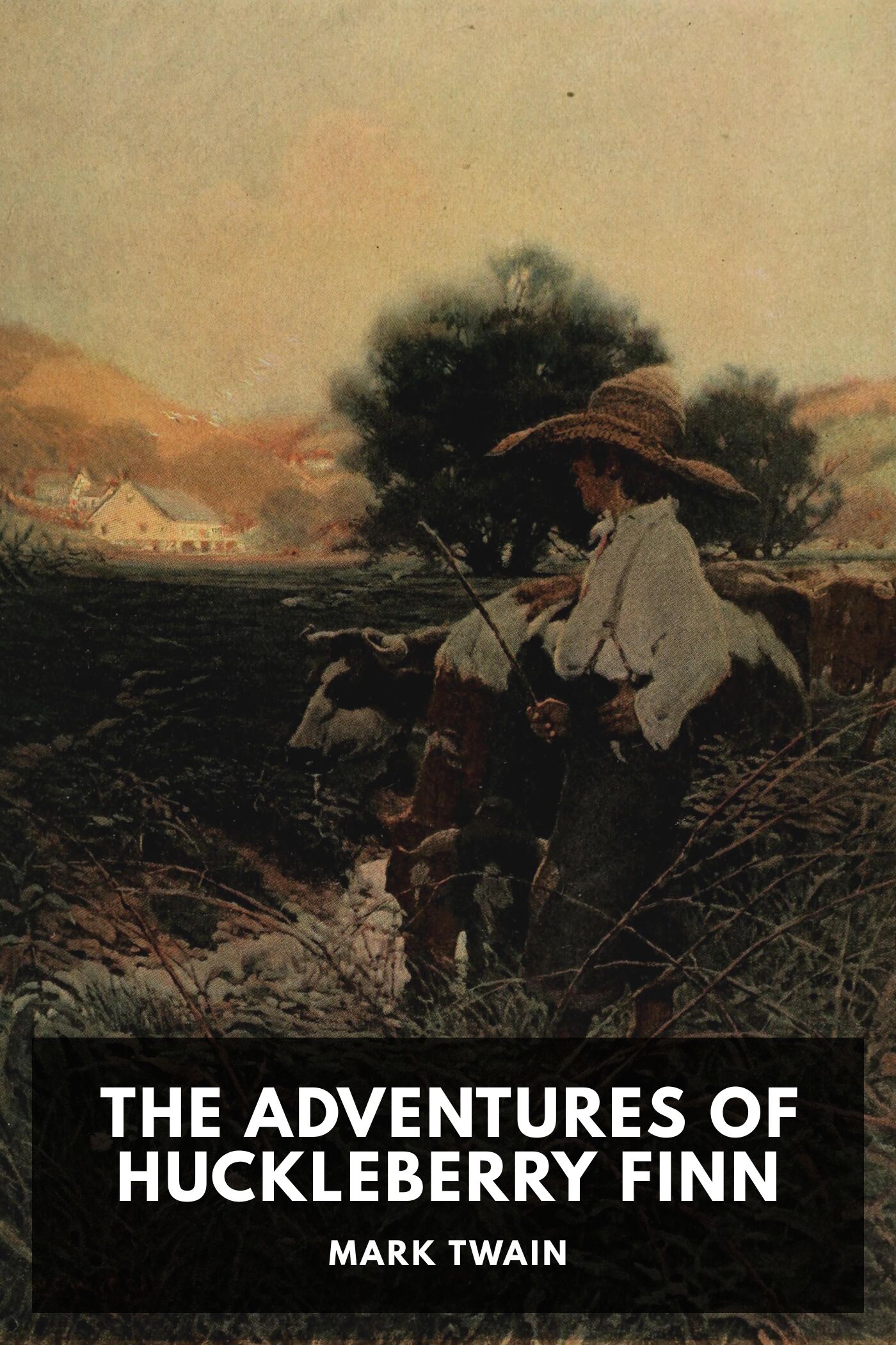 جلد کتاب Adventures of Huckleberry Finn