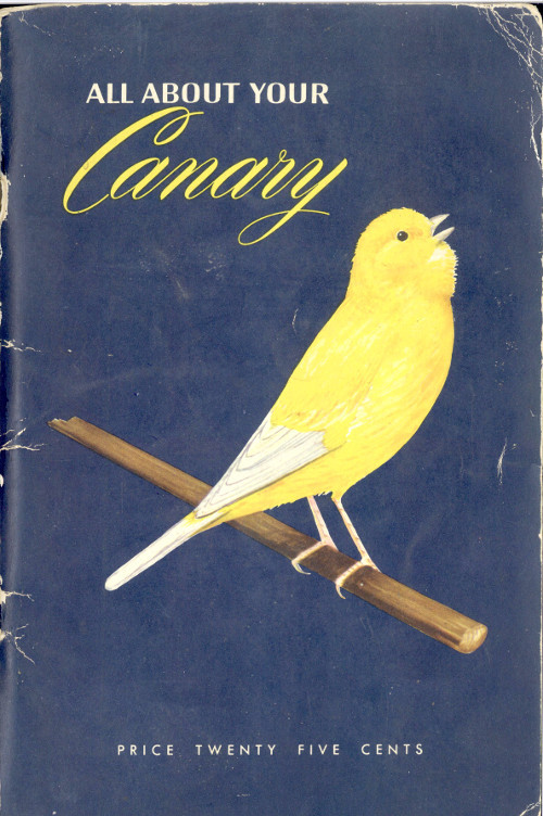 جلد کتاب All About Your Canary