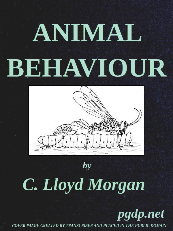 جلد کتاب Animal Behaviour