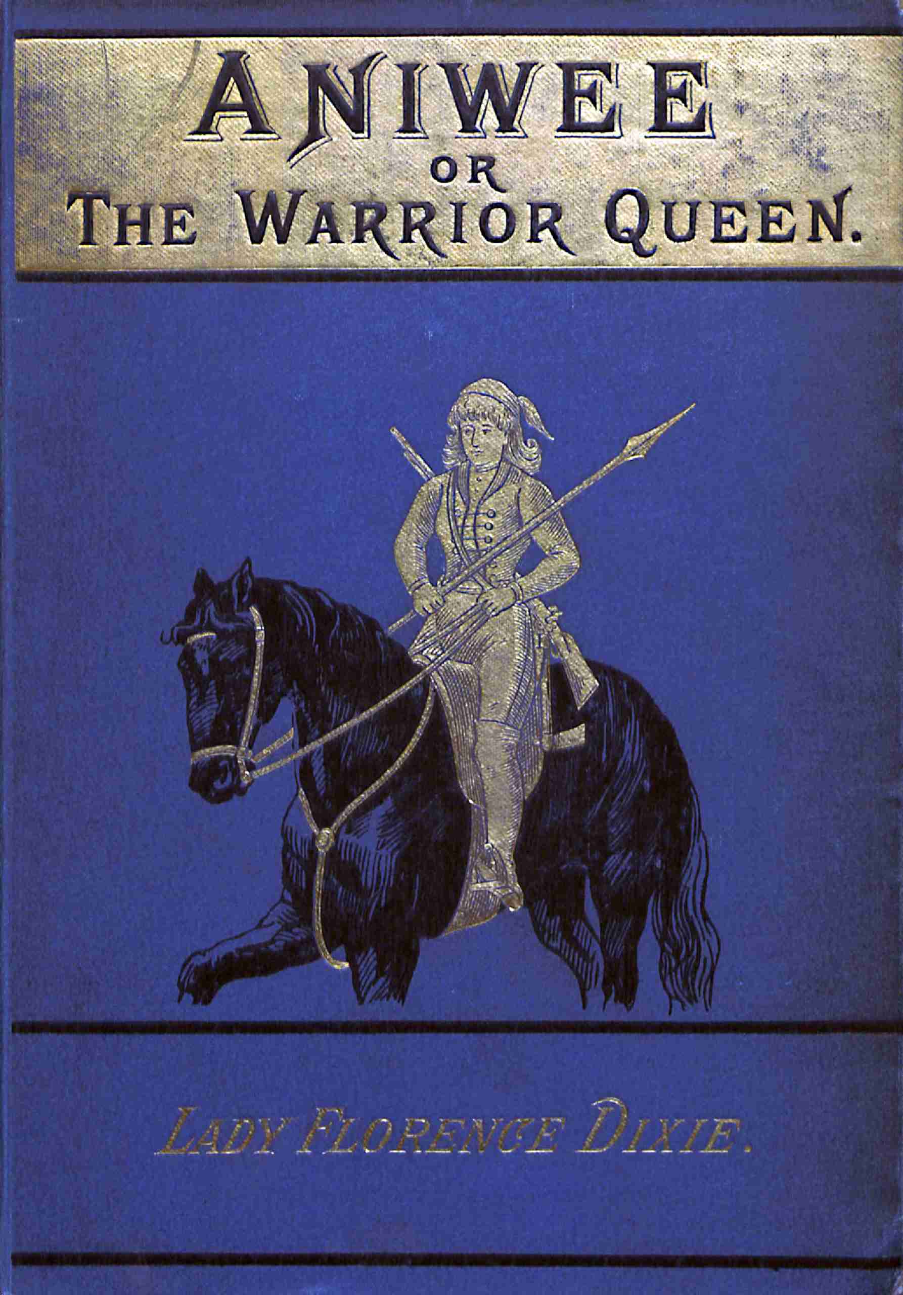 جلد کتاب Aniwee; or, the Warrior Queen