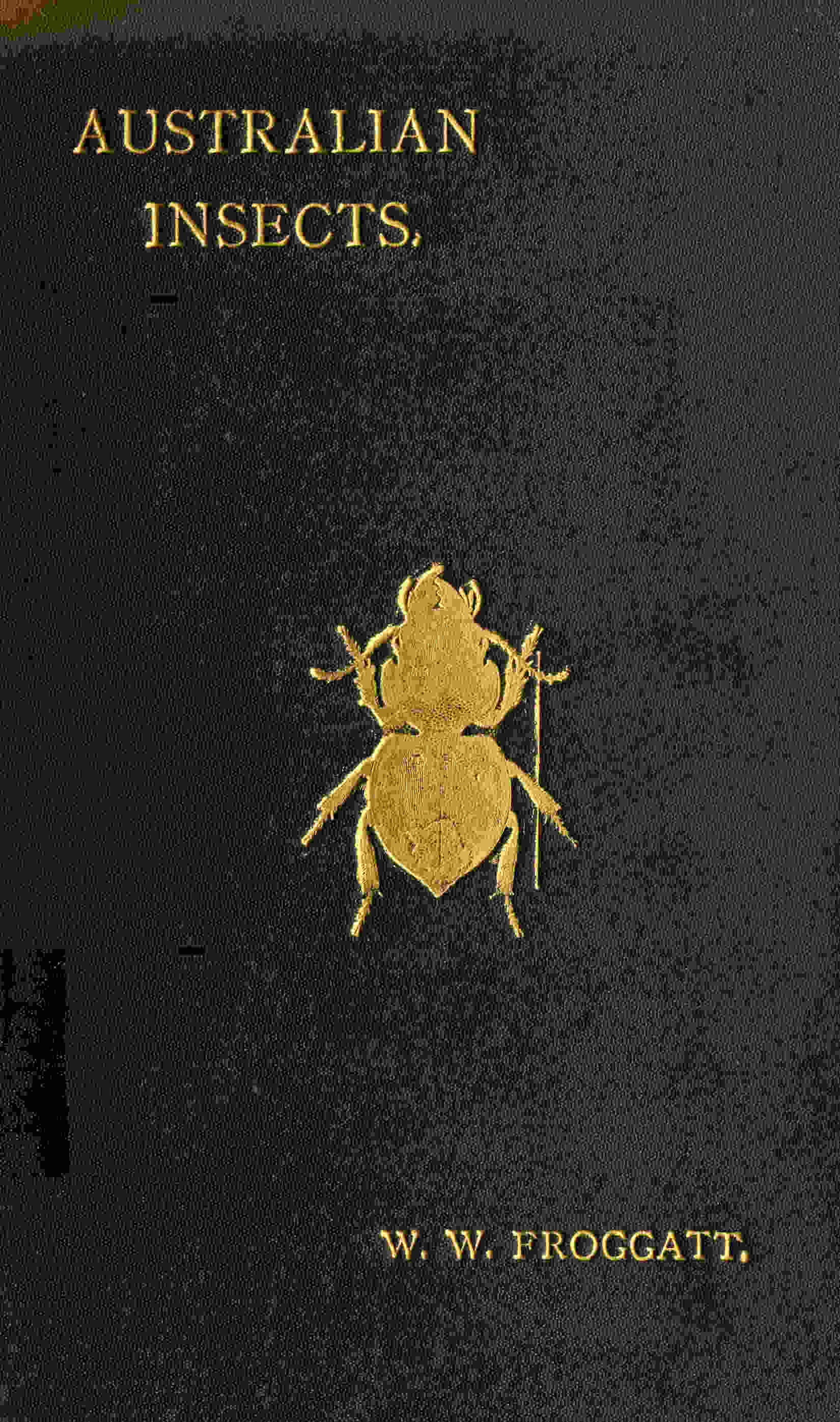 جلد کتاب Australian Insects