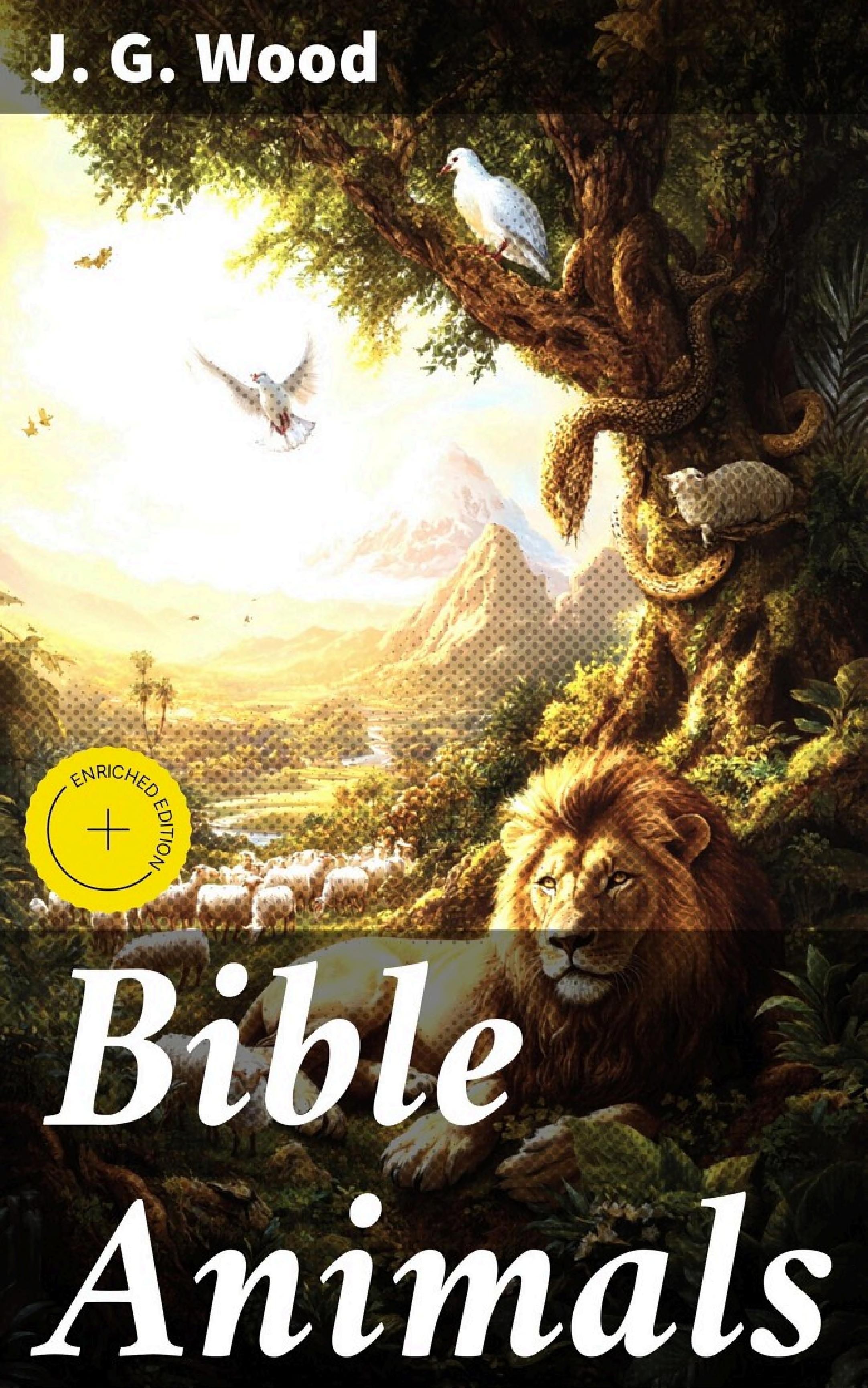 جلد کتاب Bible Animals