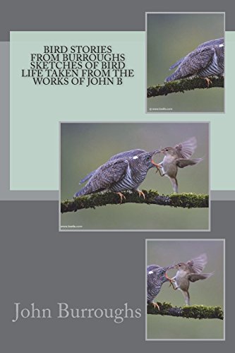 جلد کتاب Bird Stories from Burroughs