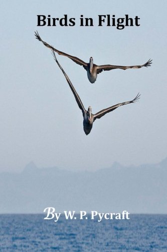 جلد کتاب Birds in Flight