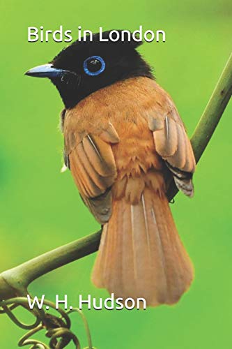 جلد کتاب Birds in London