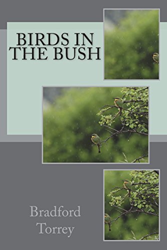 جلد کتاب Birds in the Bush