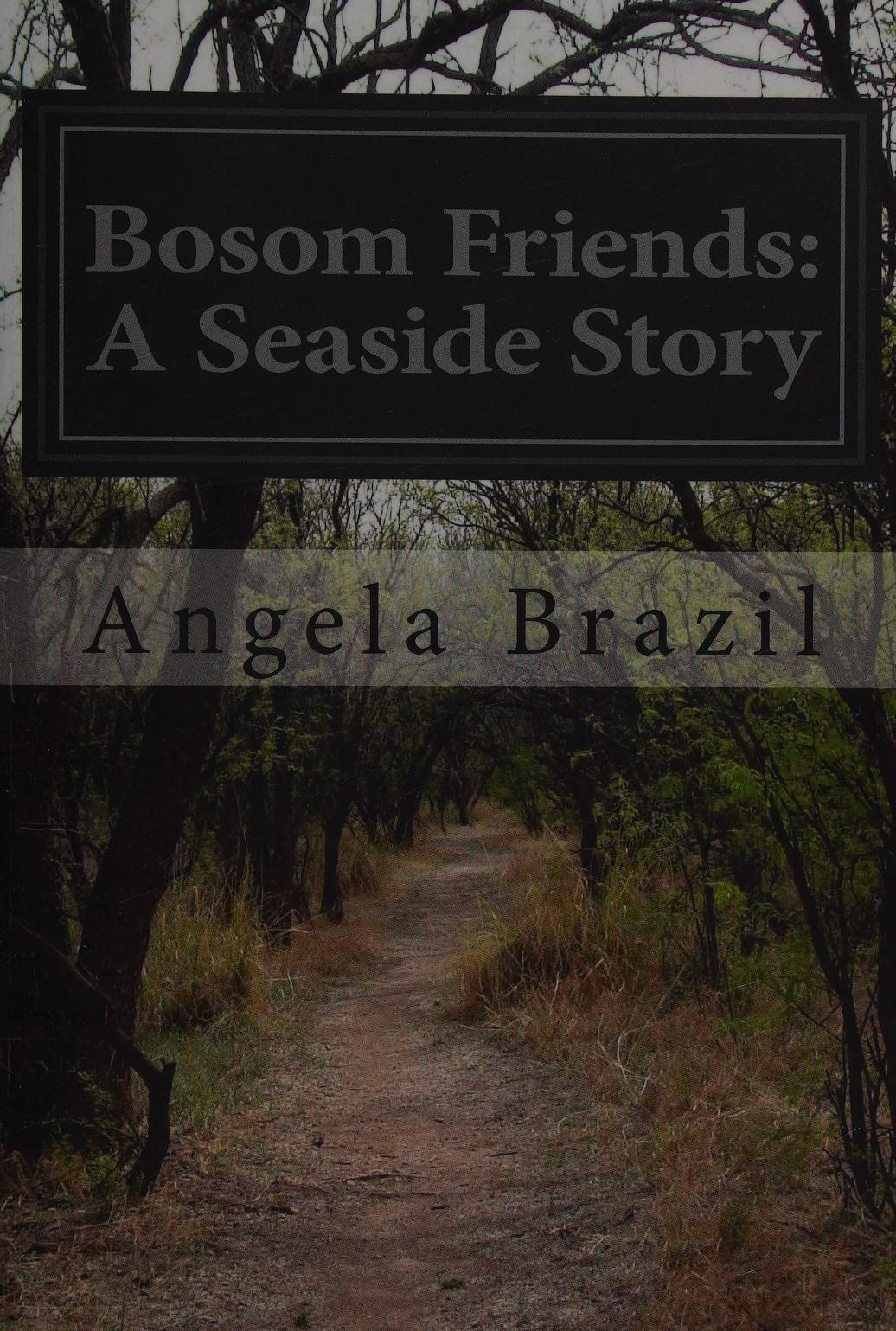 جلد کتاب Bosom Friends: A Seaside Story