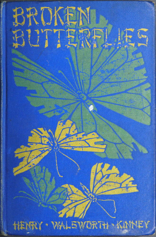 جلد کتاب Broken Butterflies