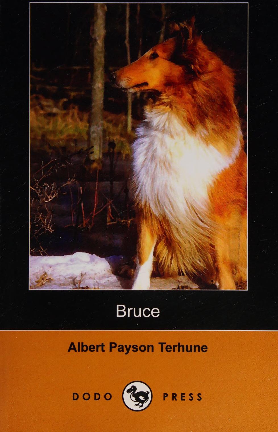 جلد کتاب Bruce