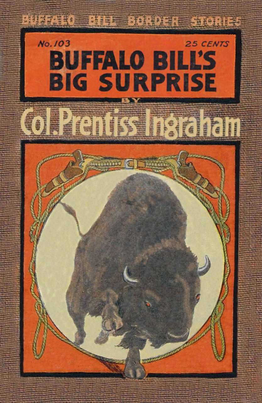 جلد کتاب Buffalo Bill's Big Surprise