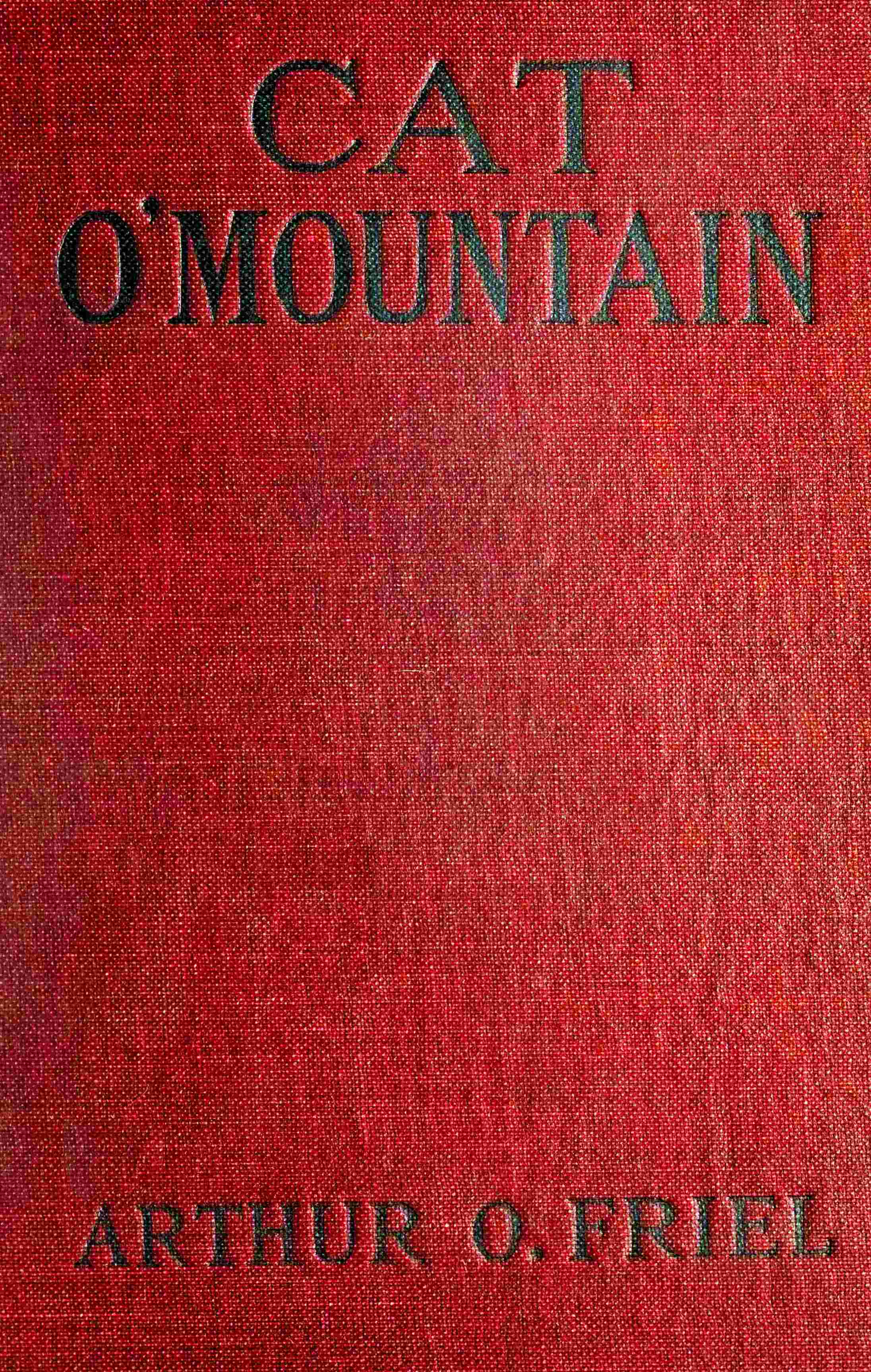 جلد کتاب Cat o' Mountain