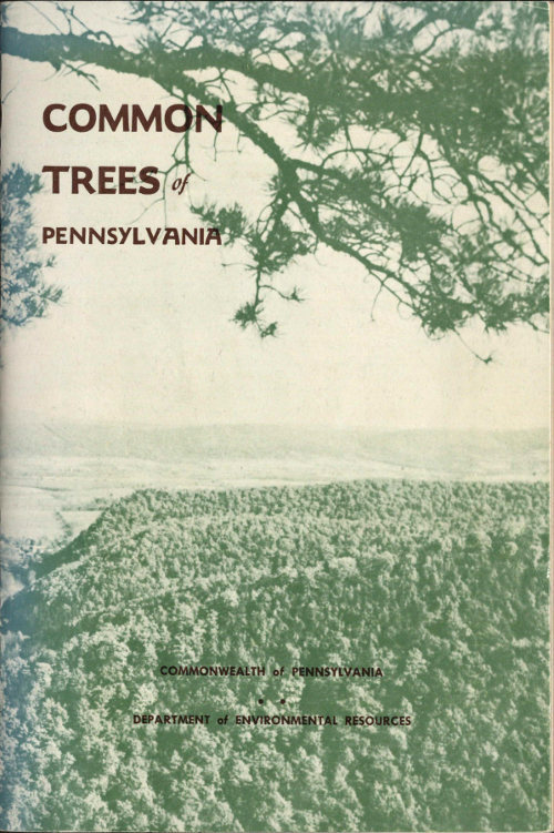 جلد کتاب Common Trees of Pennsylvania