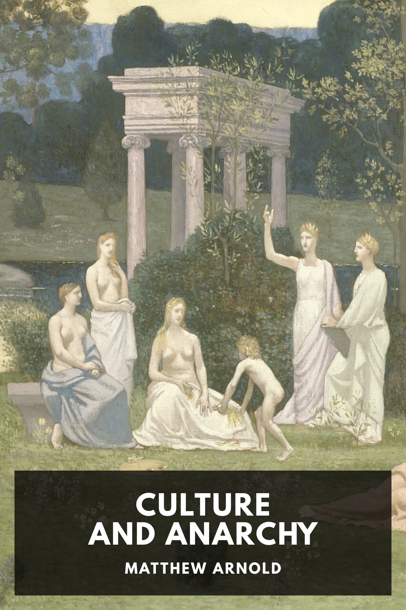 جلد کتاب Culture and Anarchy