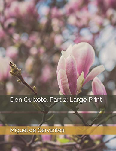 جلد کتاب Don Quixote