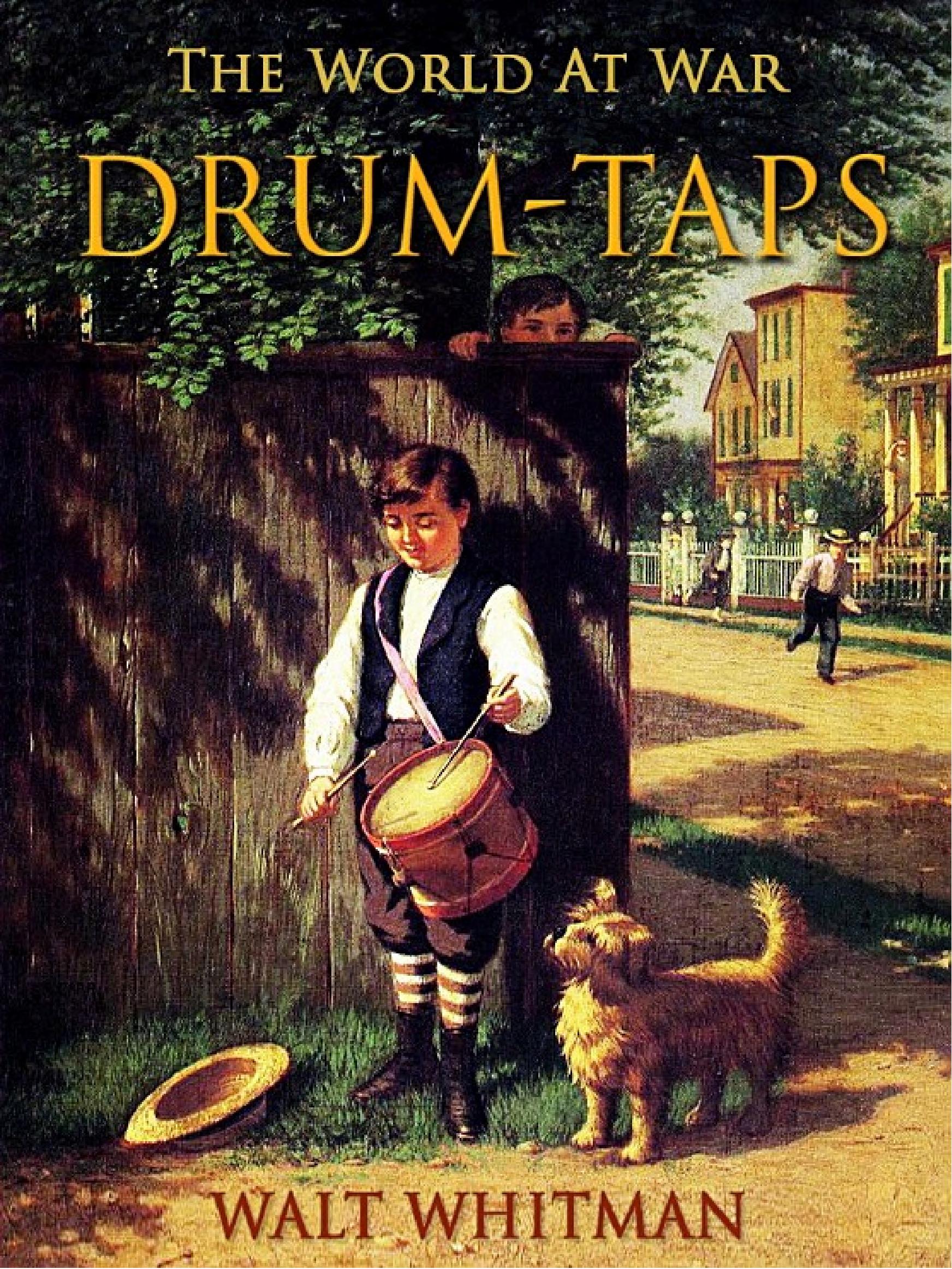 جلد کتاب Drum-Taps