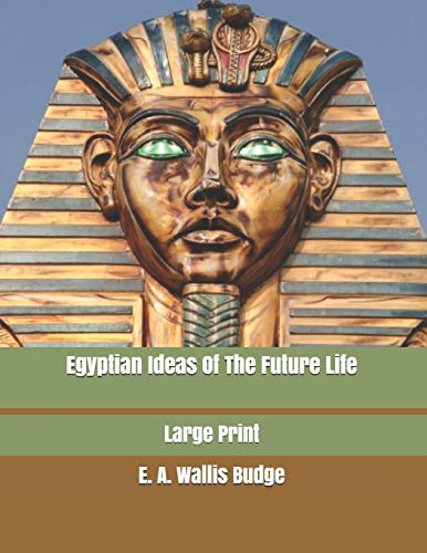 جلد کتاب Egyptian Ideas of the Future Life