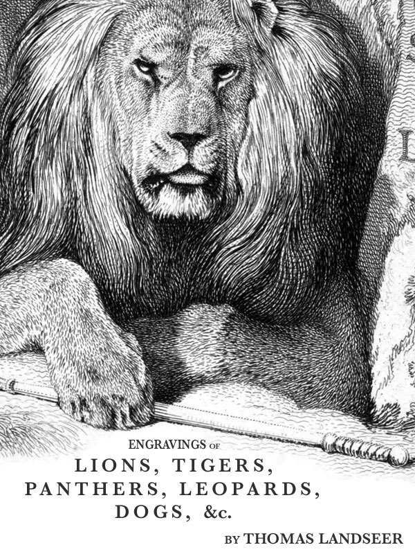 جلد کتاب Engravings of Lions, Tigers, Panthers, Leopards, Dogs, &c.