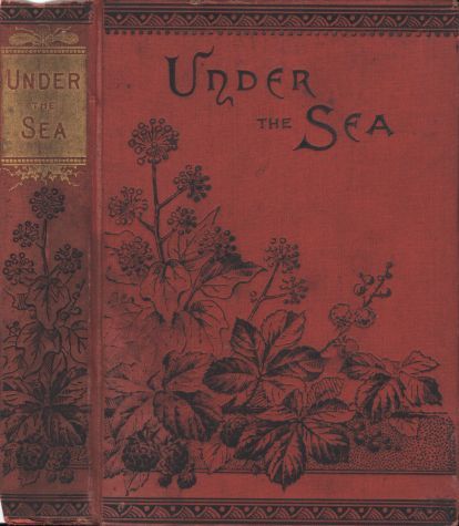 جلد کتاب Eric or, Under the Sea