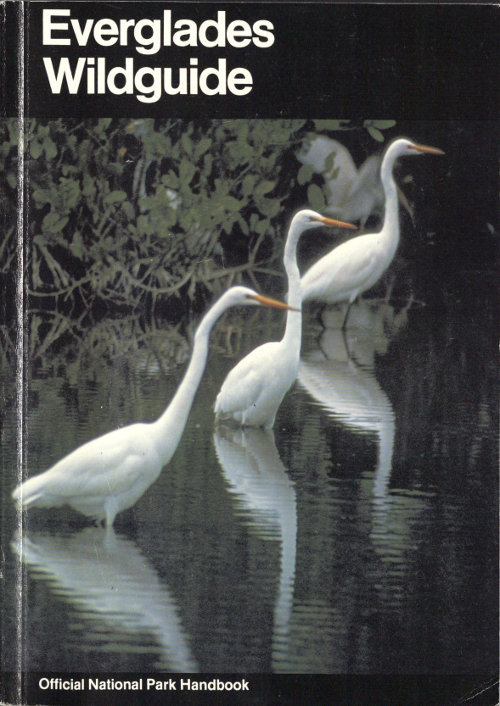 جلد کتاب Everglades Wildguide Handbook 143