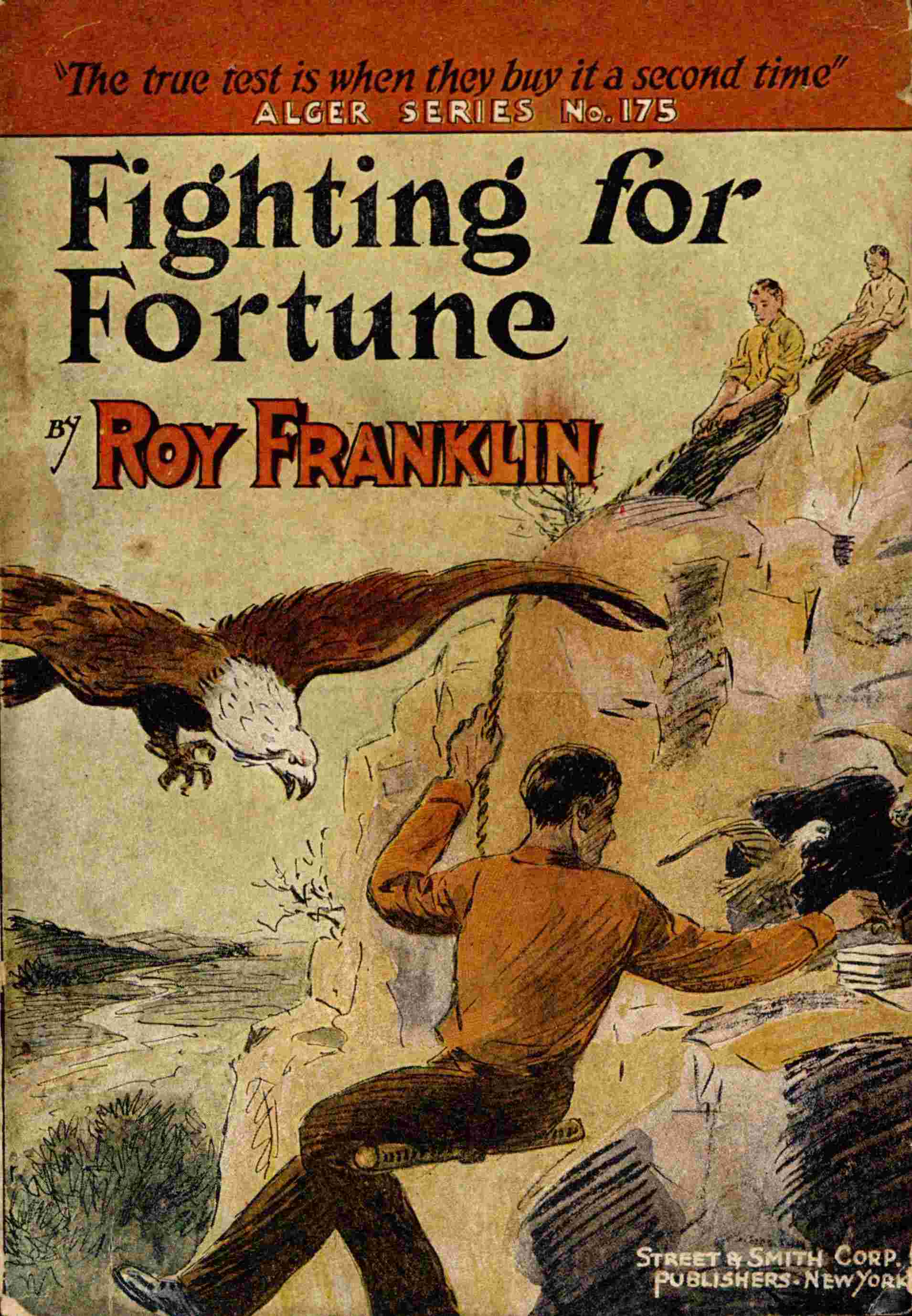 جلد کتاب Fighting for Fortune
