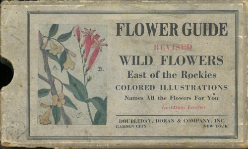 جلد کتاب Flower Guide: Wild Flowers East of the Rockies