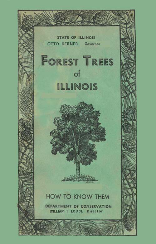 جلد کتاب Forest Trees of Illinois