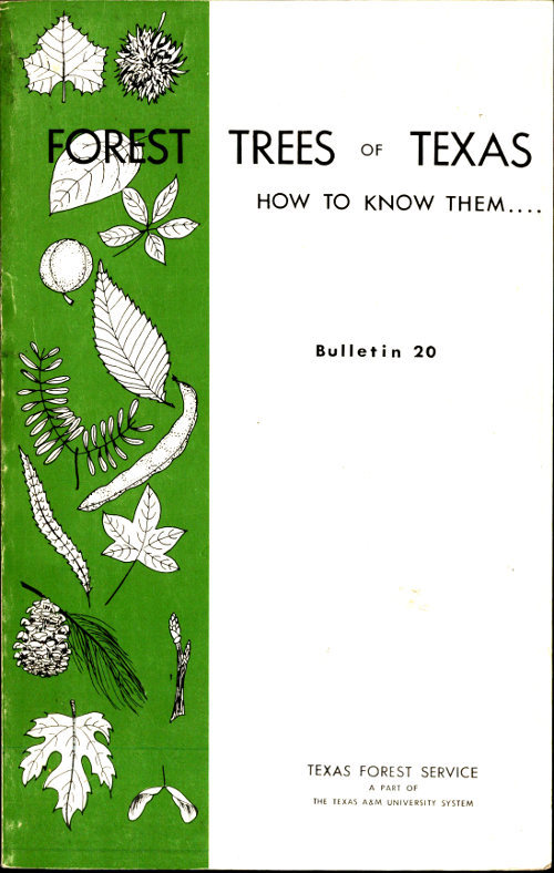 جلد کتاب Forest Trees of Texas: How to Know Them