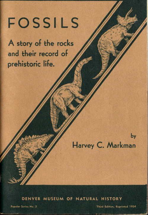 جلد کتاب Fossils: A Story of the Rocks and Their Record of Prehistoric Life