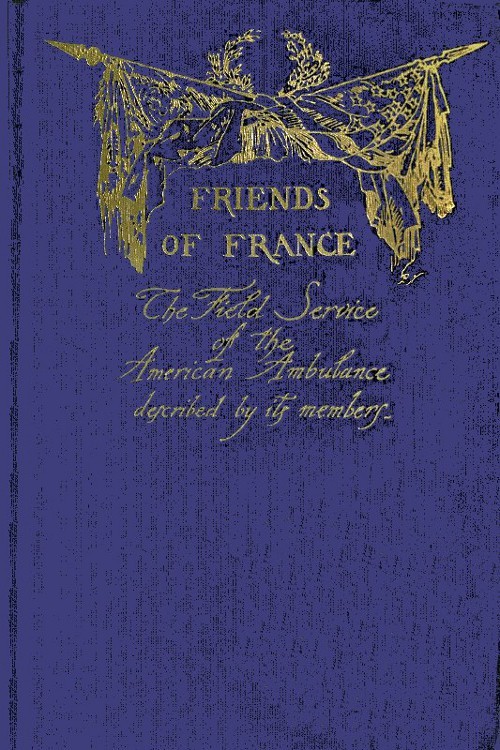 جلد کتاب Friends of France
