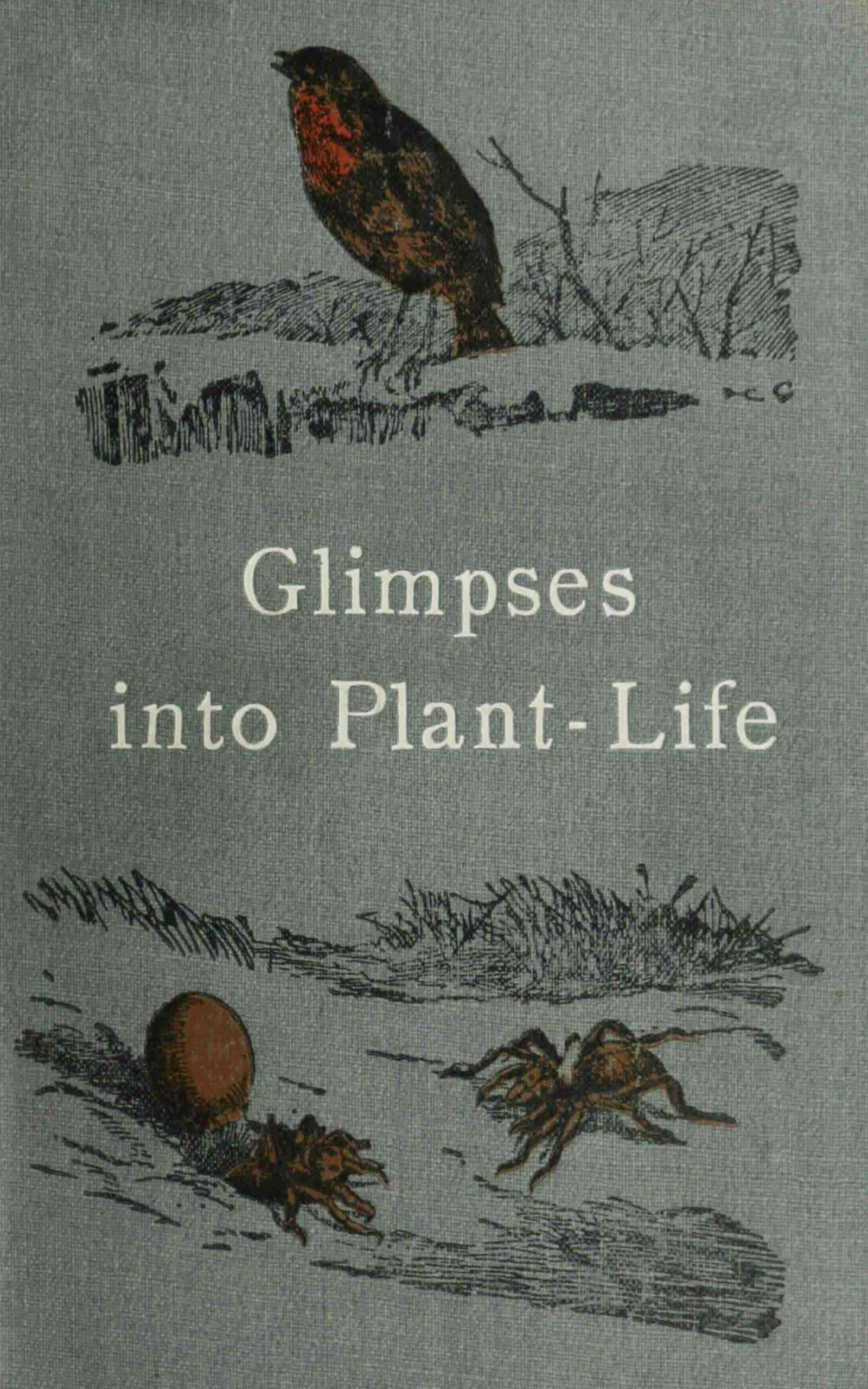 جلد کتاب Glimpses into Plant-Life
