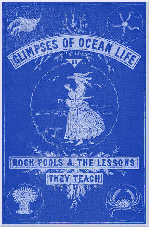 جلد کتاب Glimpses of Ocean Life