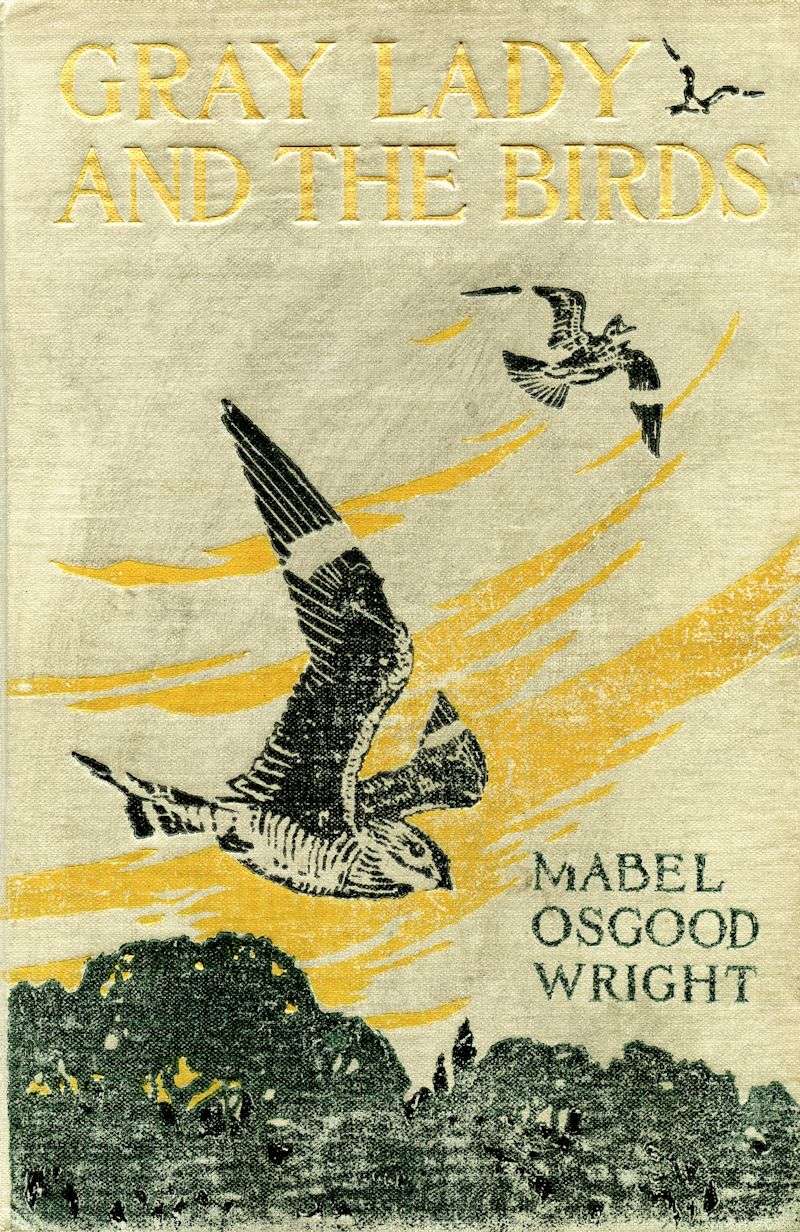 جلد کتاب Gray Lady and the Birds