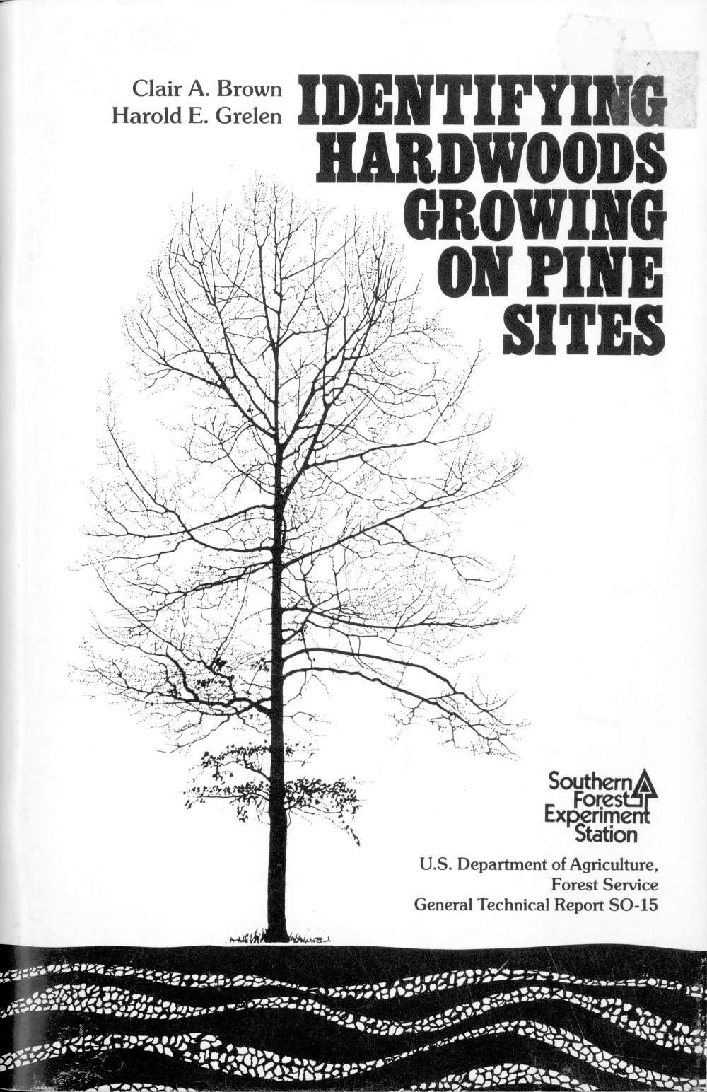 جلد کتاب Identifying Hardwoods Growing on Pine Sites