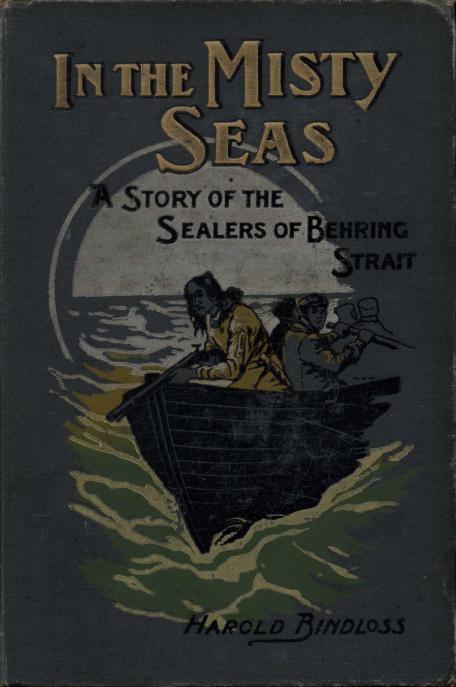 جلد کتاب In the Misty Seas: A Story of the Sealers of Behring Strait