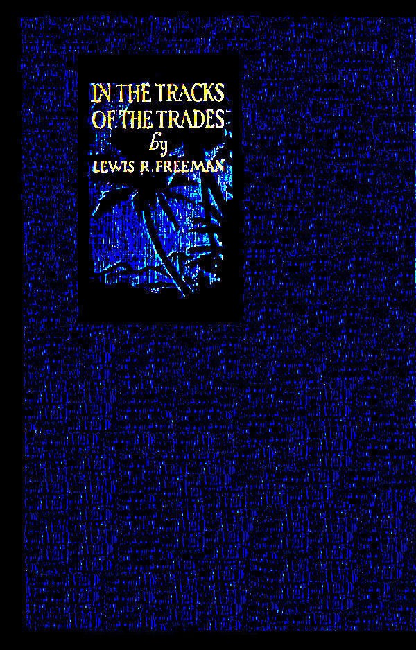 جلد کتاب In the Track of the Trades