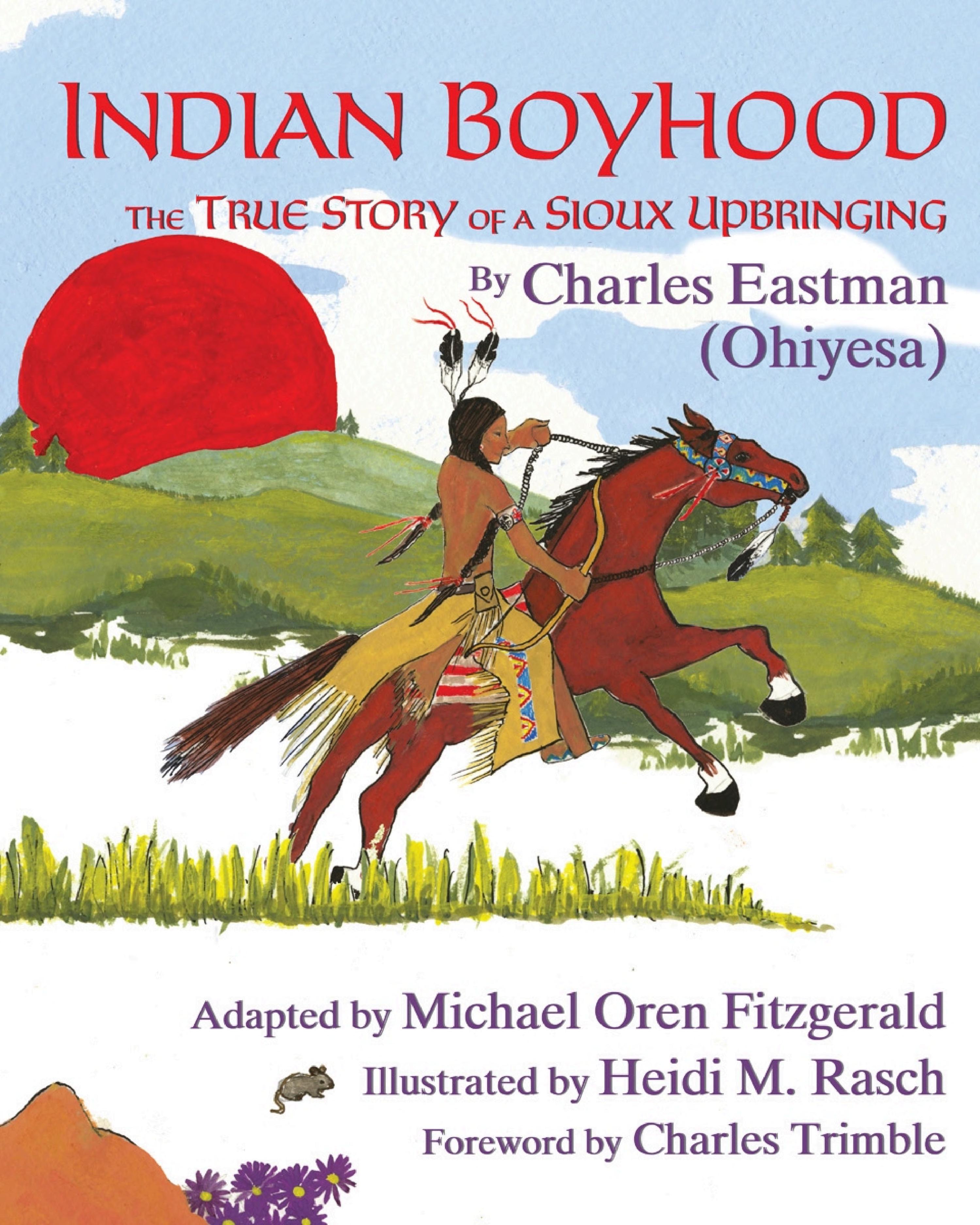 جلد کتاب Indian Boyhood